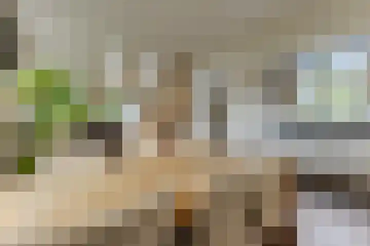Noordervaartdijk 25 A Krommenie thumbnail 10