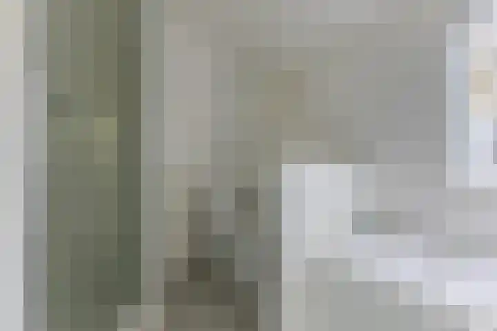 Noordervaartdijk 25 A Krommenie thumbnail 26