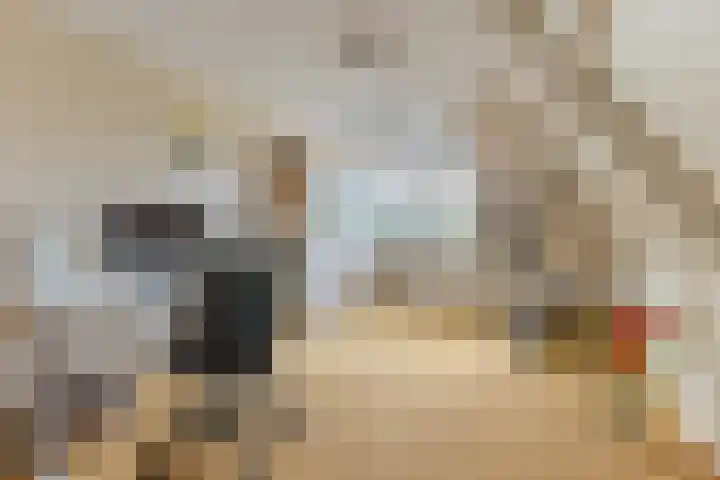 Noordervaartdijk 25 A Krommenie thumbnail 32