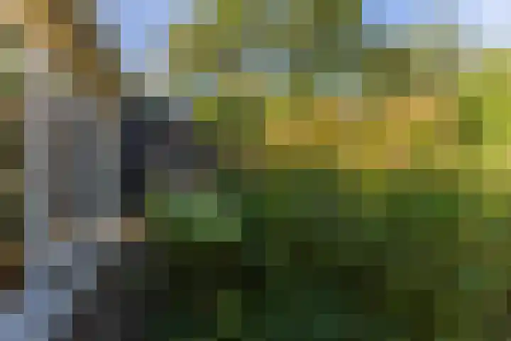 Noordervaartdijk 25 A Krommenie thumbnail 38