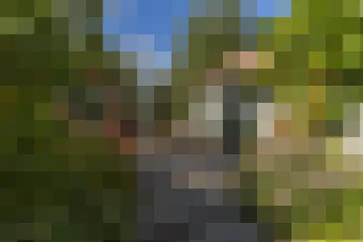 Noordervaartdijk 25 A Krommenie thumbnail 39