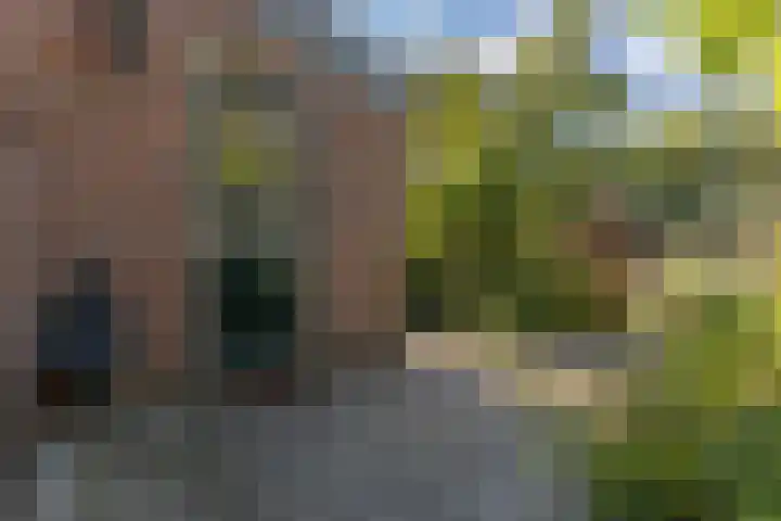 Noordervaartdijk 25 A Krommenie thumbnail 4