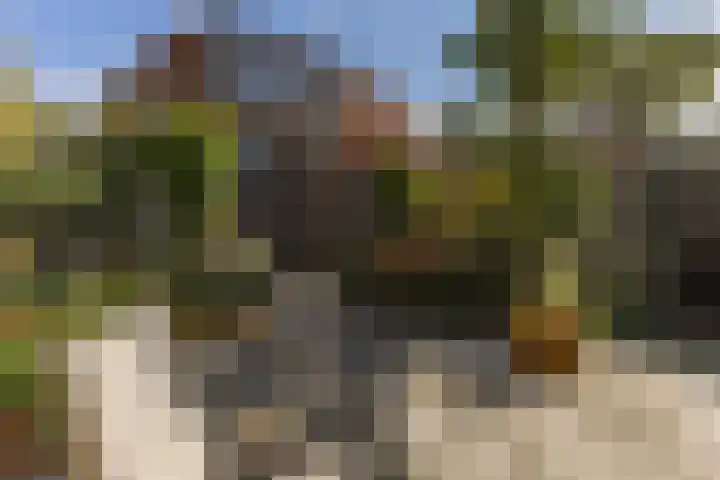 Noordervaartdijk 25 A Krommenie thumbnail 42