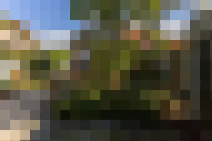 Noordervaartdijk 25 A Krommenie thumbnail 43