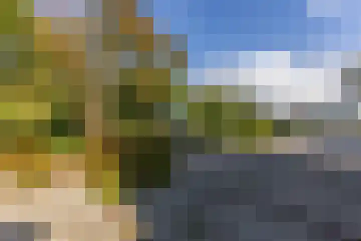 Noordervaartdijk 25 A Krommenie thumbnail 45