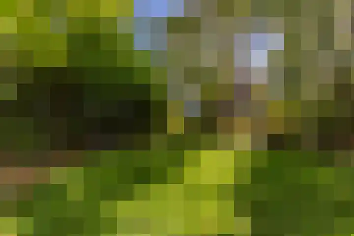 Noordervaartdijk 25 A Krommenie thumbnail 47