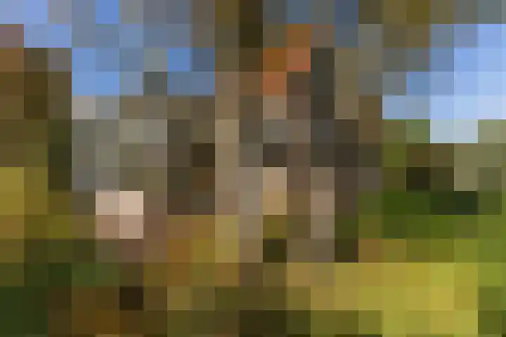 Noordervaartdijk 25 A Krommenie thumbnail 50