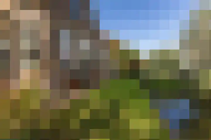 Noordervaartdijk 25 A Krommenie thumbnail 51