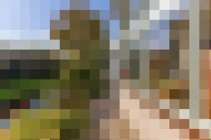 Noordervaartdijk 25 A Krommenie thumbnail 52