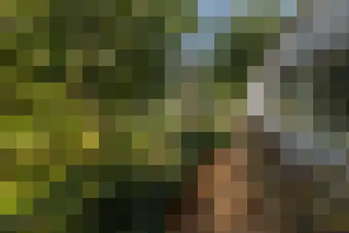 Noordervaartdijk 25 A Krommenie thumbnail 53