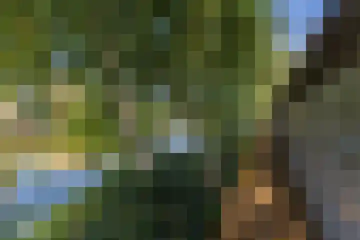 Noordervaartdijk 25 A Krommenie thumbnail 54