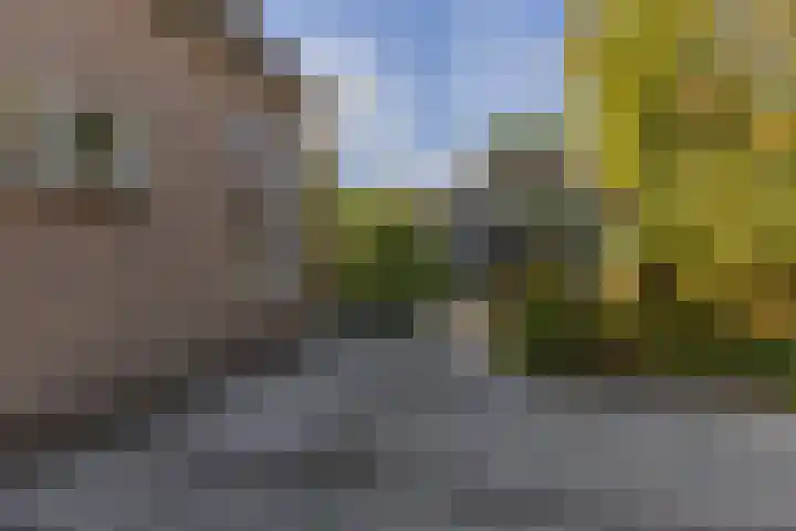 Noordervaartdijk 25 A Krommenie thumbnail 56