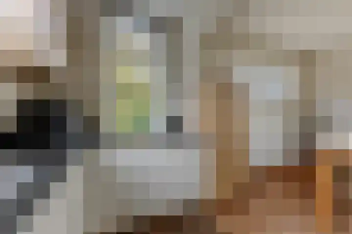 Noordervaartdijk 25 A Krommenie thumbnail 8