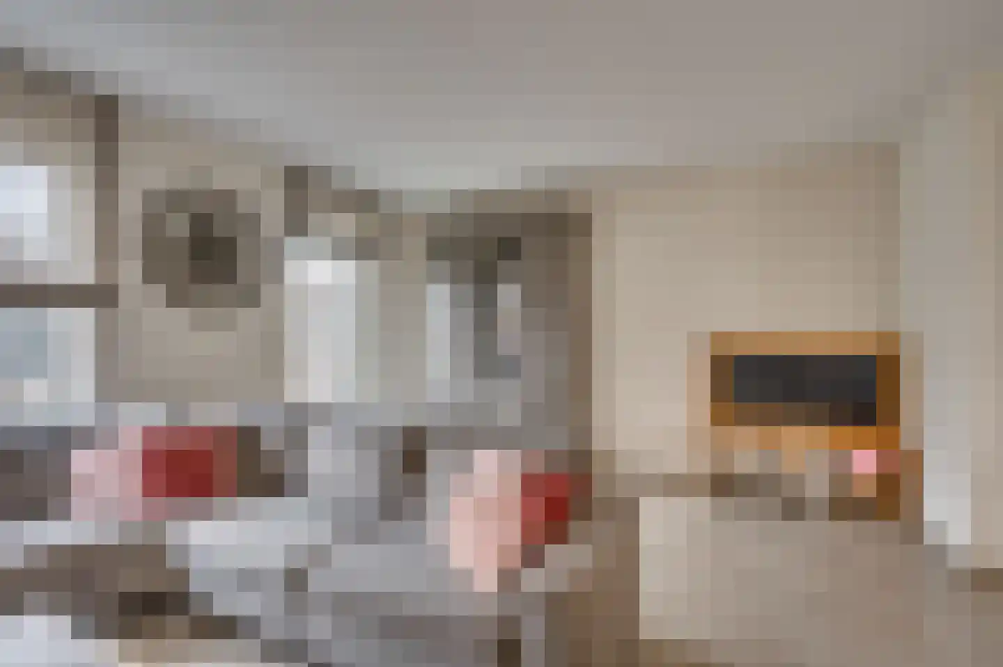 Noordervaartweg 20 Venlo thumbnail 10