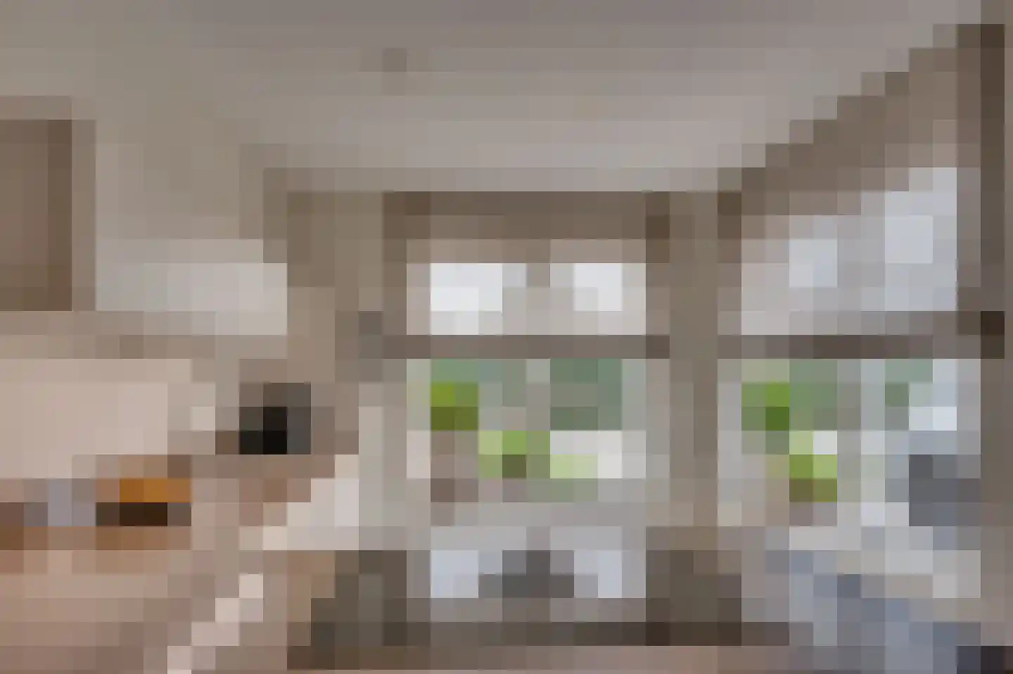 Noordervaartweg 20 Venlo thumbnail 17