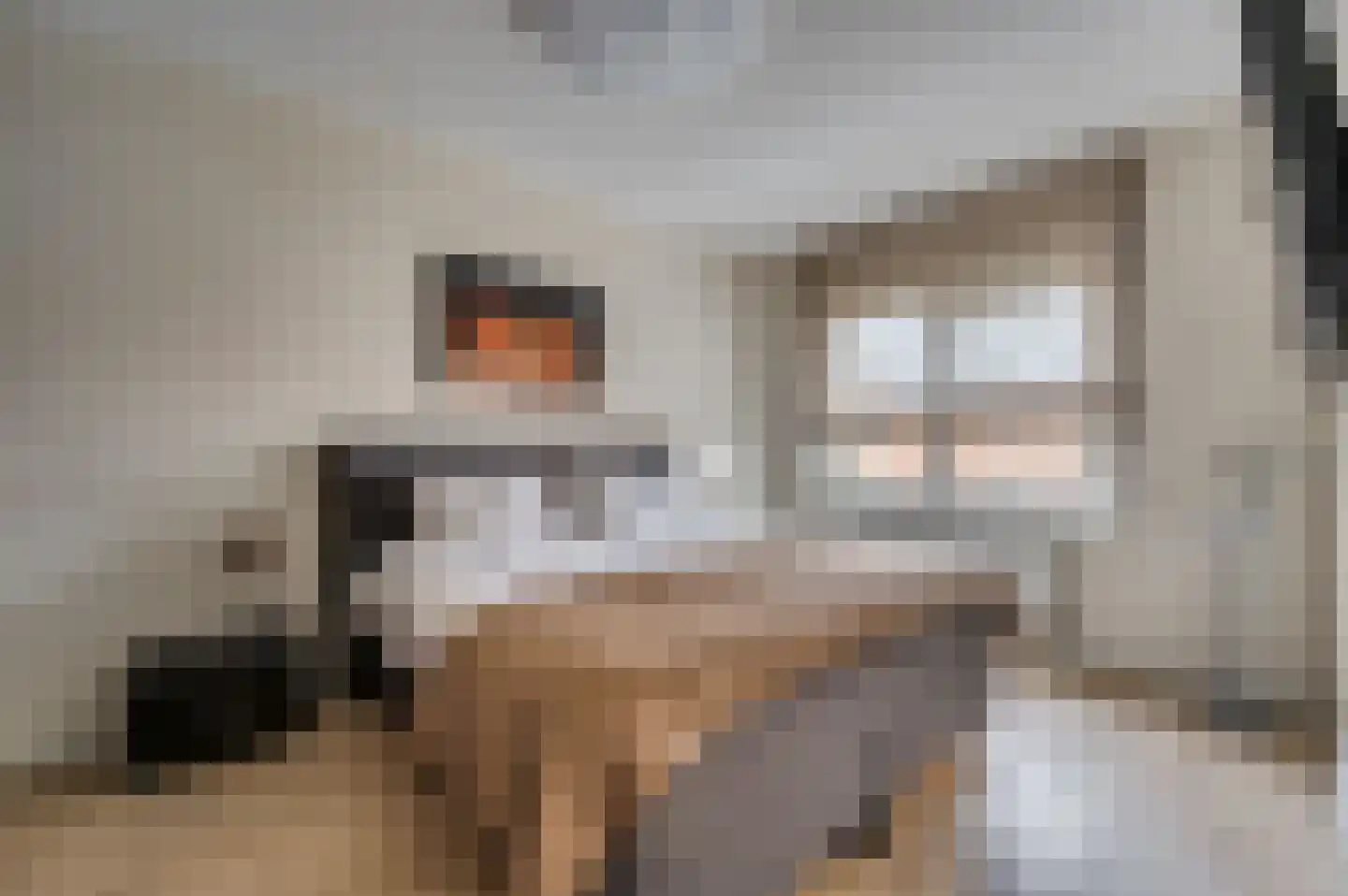 Noordervaartweg 20 Venlo thumbnail 21