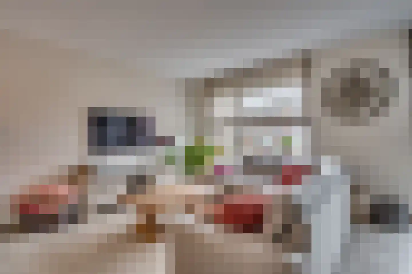 Noordervaartweg 20 Venlo thumbnail 8