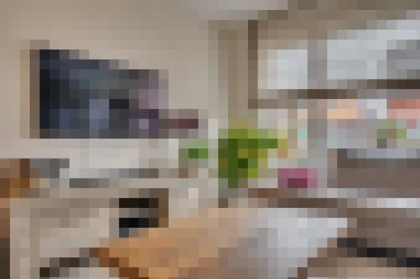 Noordervaartweg 20 Venlo thumbnail 9