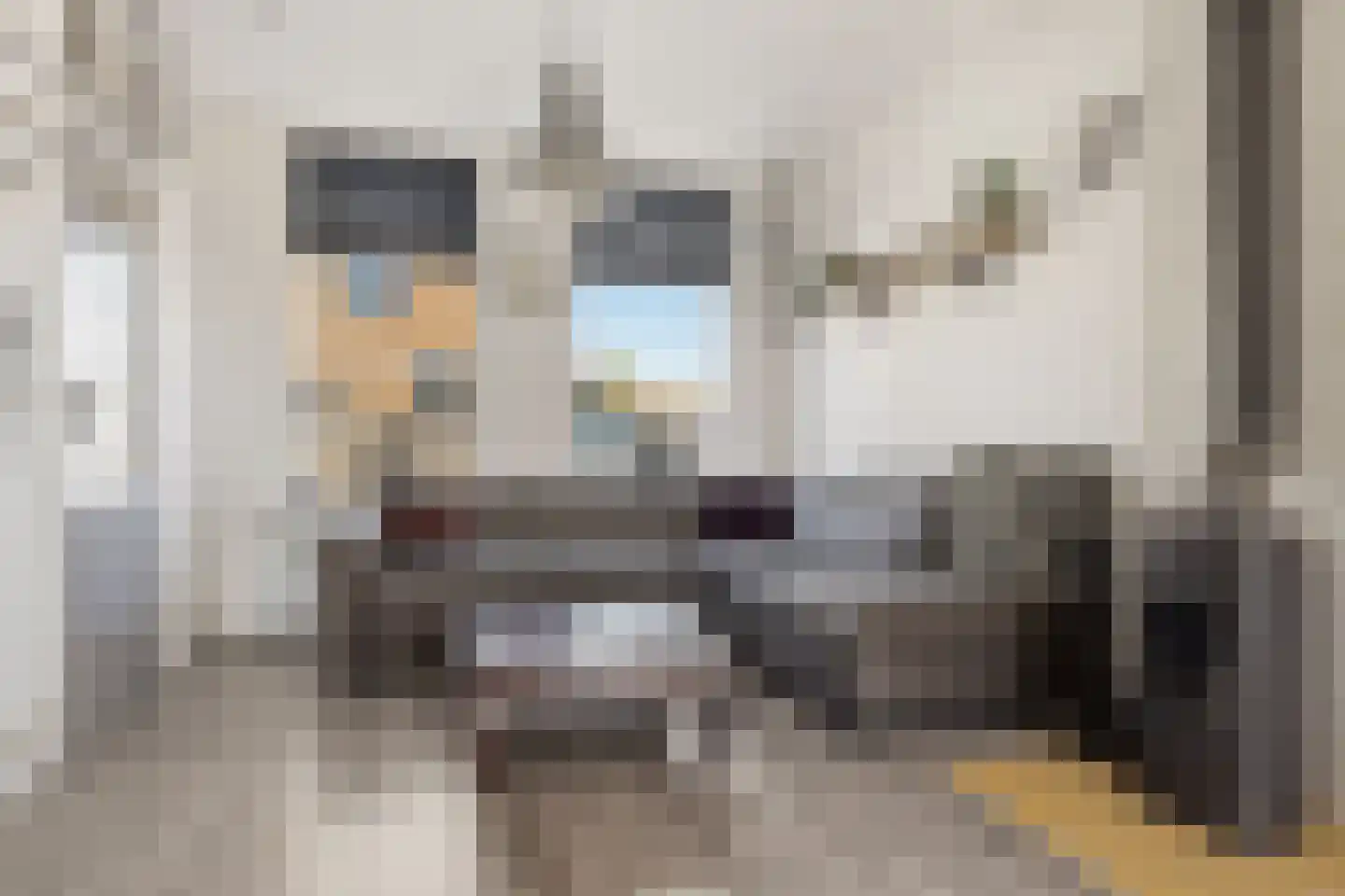 Noordervaldeurstraat 10 Zaandam thumbnail 6