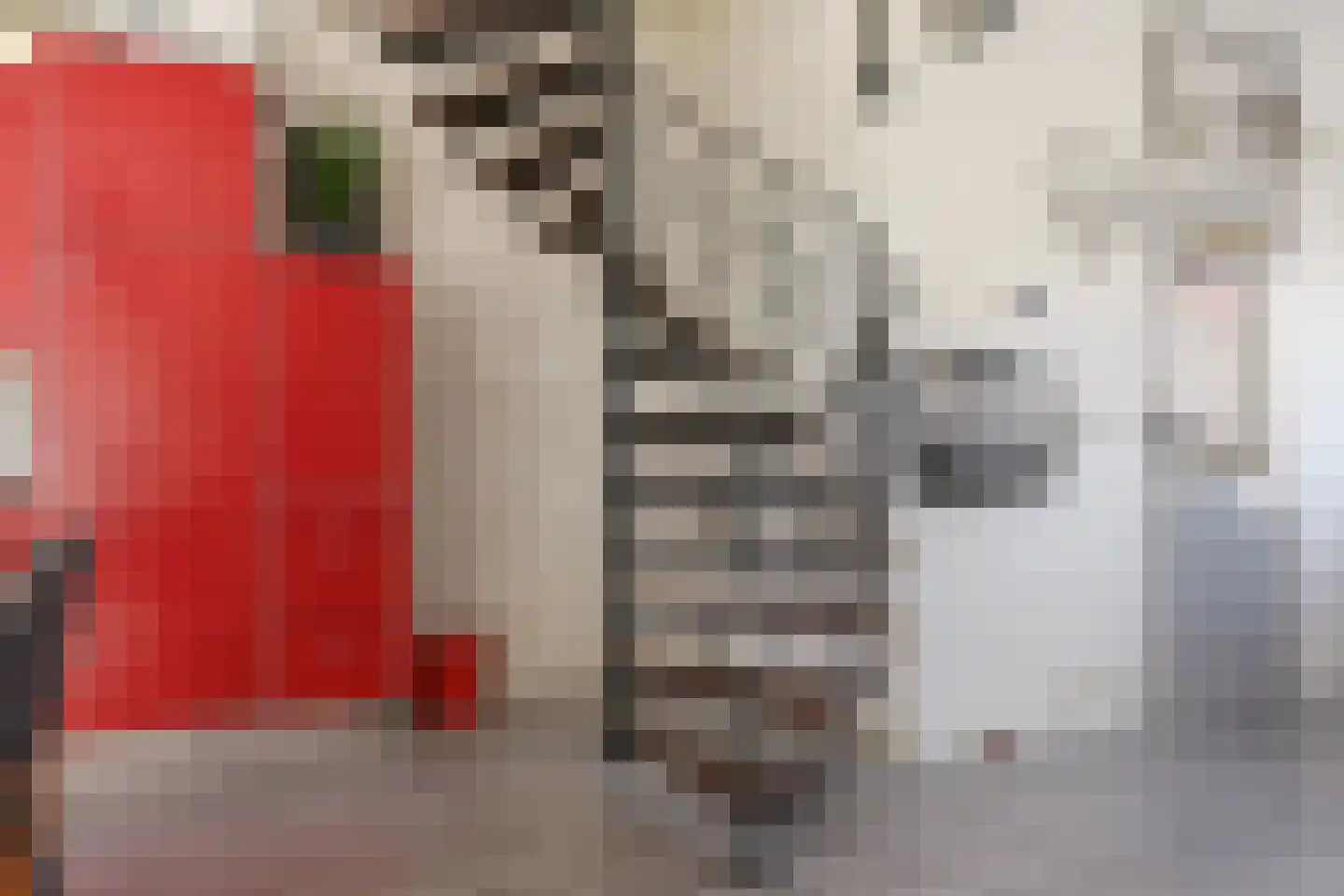Noordervaldeurstraat 10 Zaandam thumbnail 9
