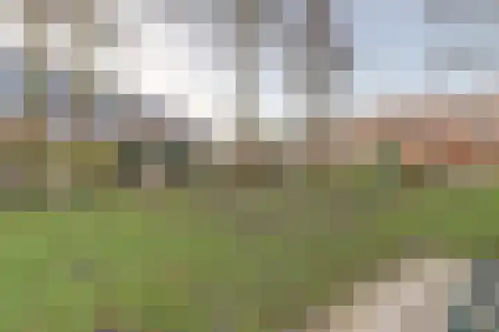 Noorderveld 52 Leerdam thumbnail 44