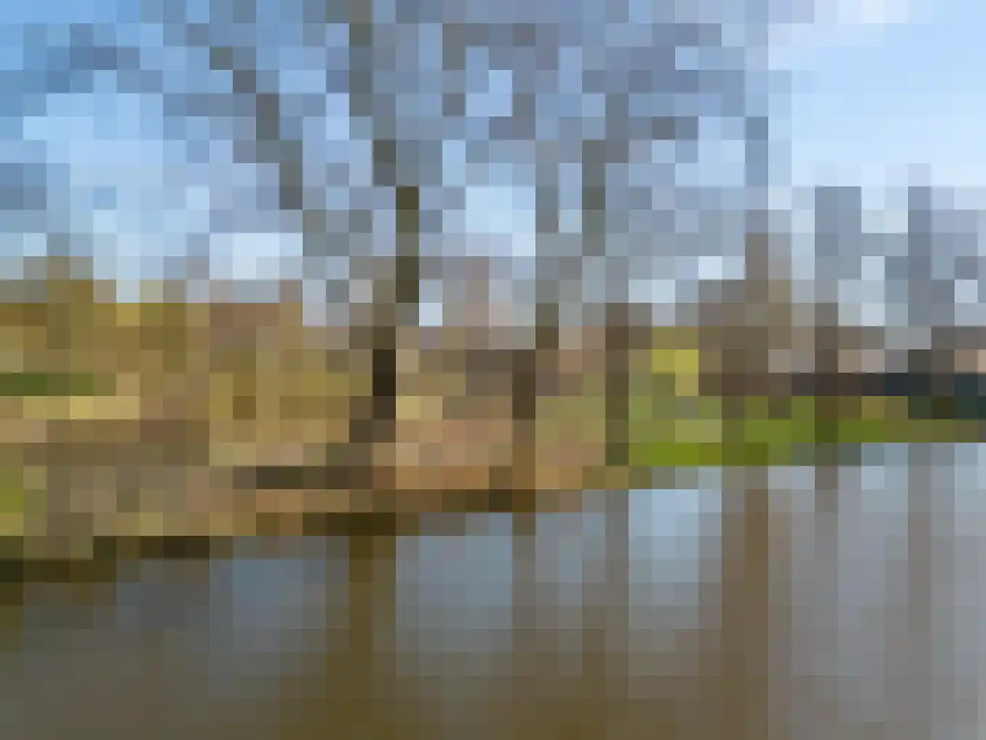 Noorderven 239 Zaandam thumbnail 26