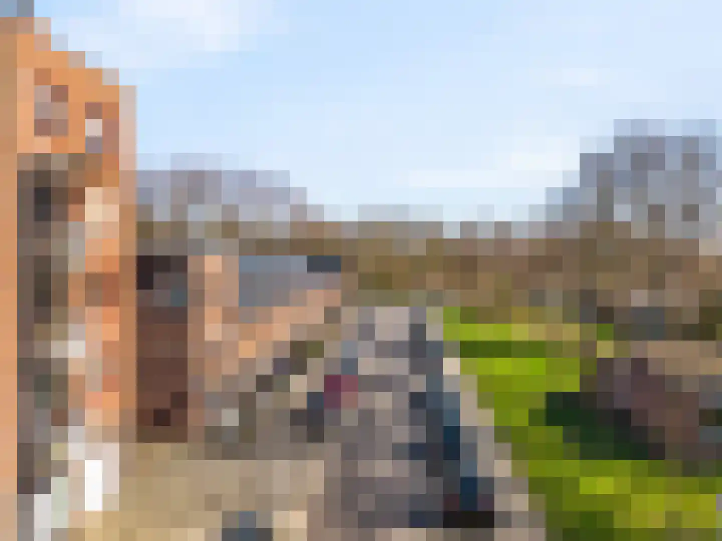 Noorderven 239 Zaandam thumbnail 27