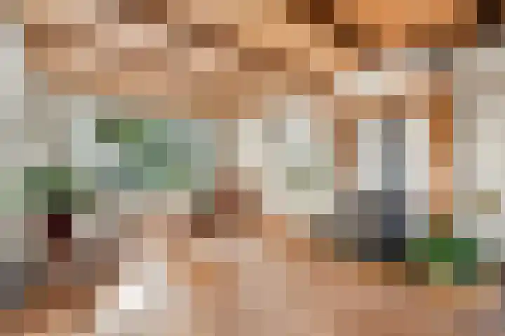 Noordervesting 4 Edam thumbnail 10