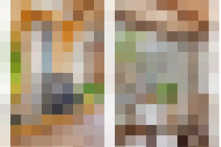 Noordervesting 4 Edam thumbnail 11
