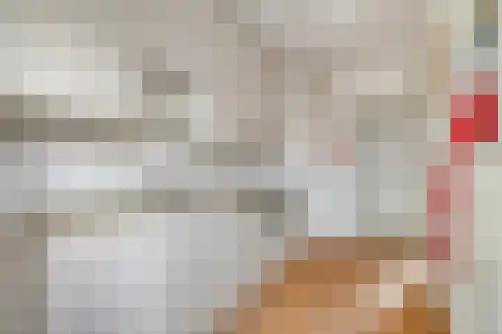 Noordervesting 4 Edam thumbnail 13