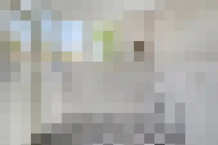 Noordervesting 4 Edam thumbnail 14