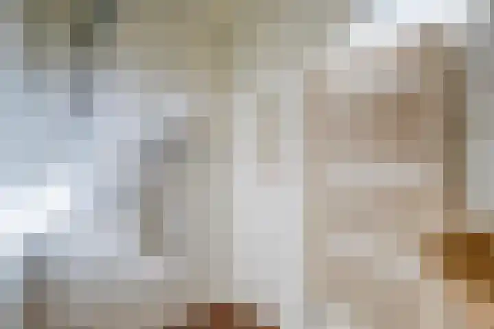 Noordervesting 4 Edam thumbnail 21
