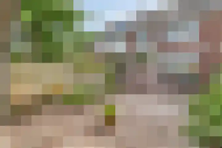 Noordervesting 4 Edam thumbnail 26