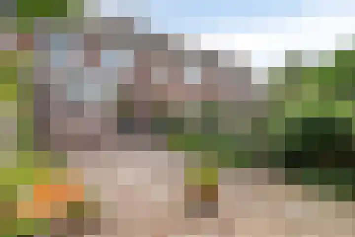 Noordervesting 4 Edam thumbnail 27