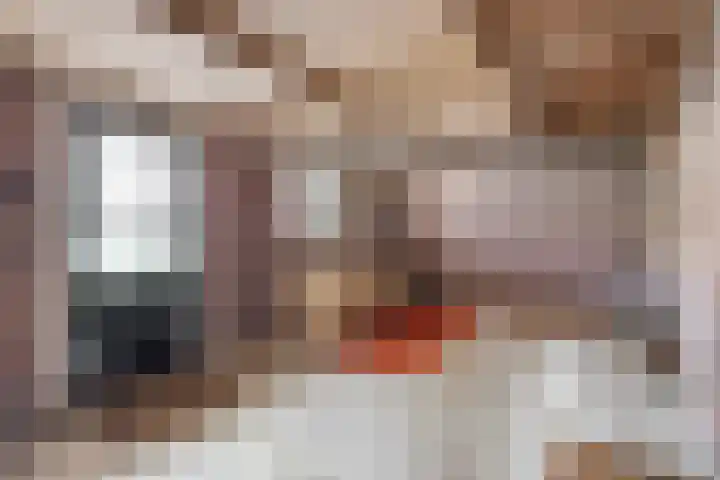 Noordervesting 4 Edam thumbnail 28