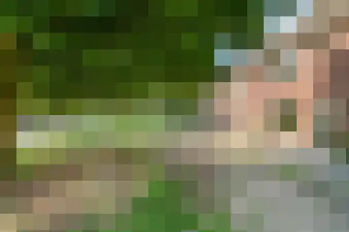 Noordervesting 4 Edam thumbnail 29