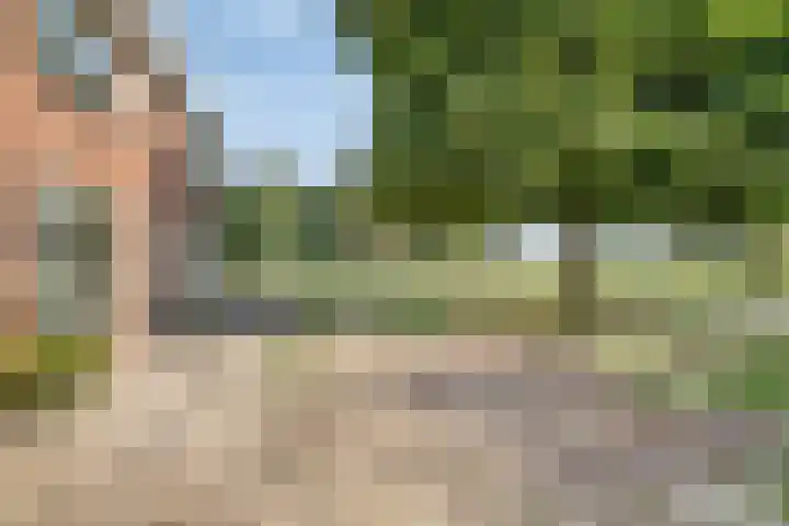 Noordervesting 4 Edam thumbnail 4