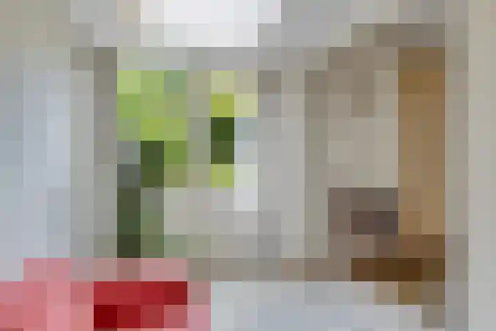 Noordervoert 12 Hoogkarspel thumbnail 12