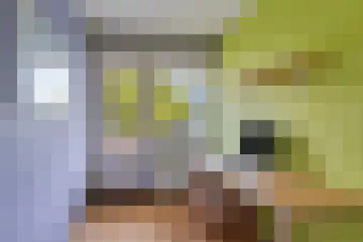 Noordervoert 12 Hoogkarspel thumbnail 28