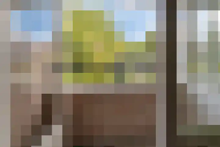Noordervoert 12 Hoogkarspel thumbnail 29
