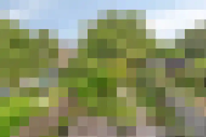 Noordervoert 12 Hoogkarspel thumbnail 30