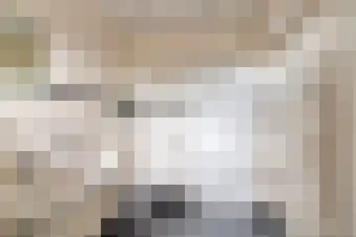 Noordervoert 12 Hoogkarspel thumbnail 32
