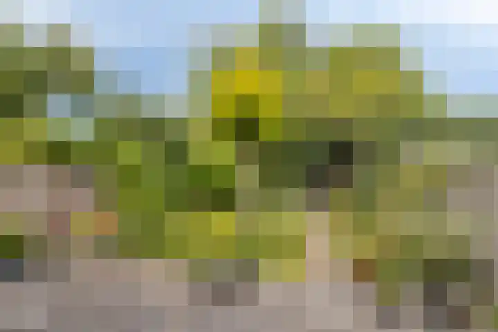 Noordervoert 12 Hoogkarspel thumbnail 38