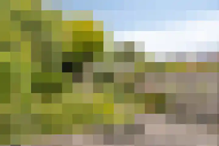 Noordervoert 12 Hoogkarspel thumbnail 39