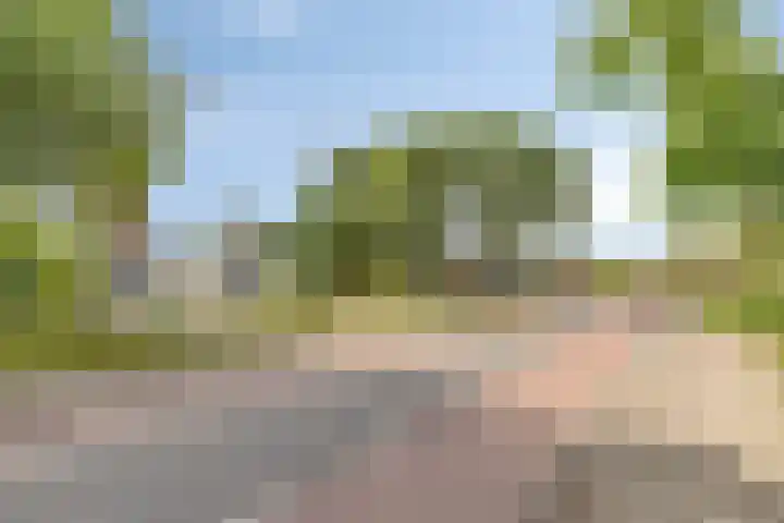 Noordervoert 12 Hoogkarspel thumbnail 45