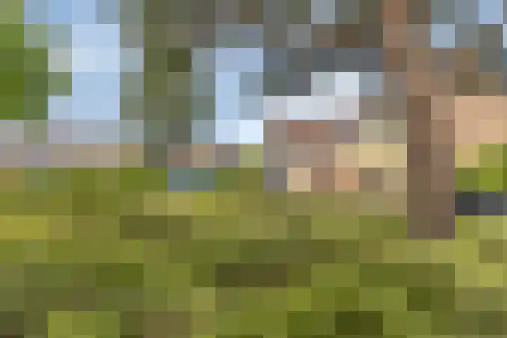 Noordervoert 12 Hoogkarspel thumbnail 46