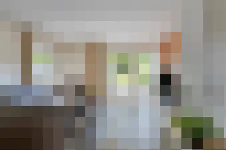 Noordervoert 12 Hoogkarspel thumbnail 7