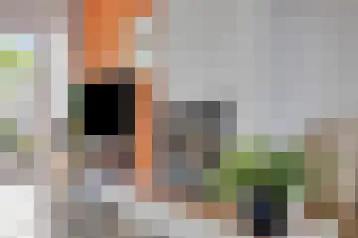 Noordervoert 12 Hoogkarspel thumbnail 9