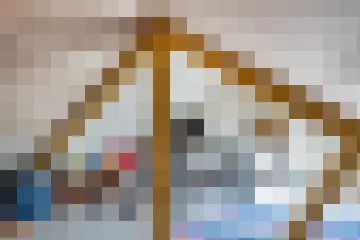 Noorderwal 1 Culemborg thumbnail 33