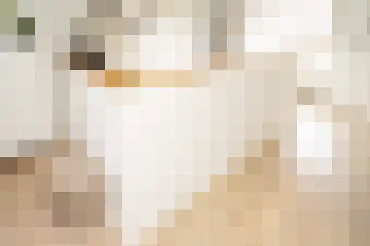 Noorderwal 1 Culemborg thumbnail 37
